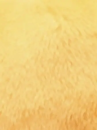 peeeece1005의 癒やし