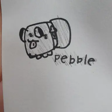 Profile image of 페블