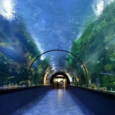 Profile image of Merformers Aquarium