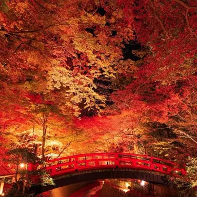 Profile image of 서한솔