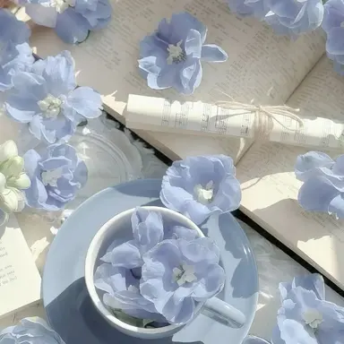 Profile image of 서한흠