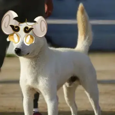 Profile image of 구름해태맛 쿠키