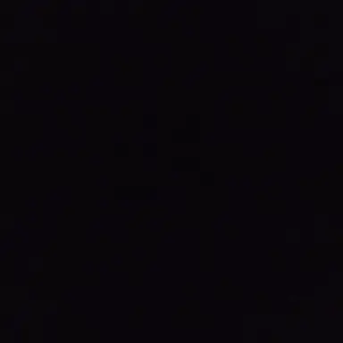 Profile image of 필릭스