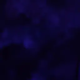 mu_x.ll의 𝓣𝓸𝓭