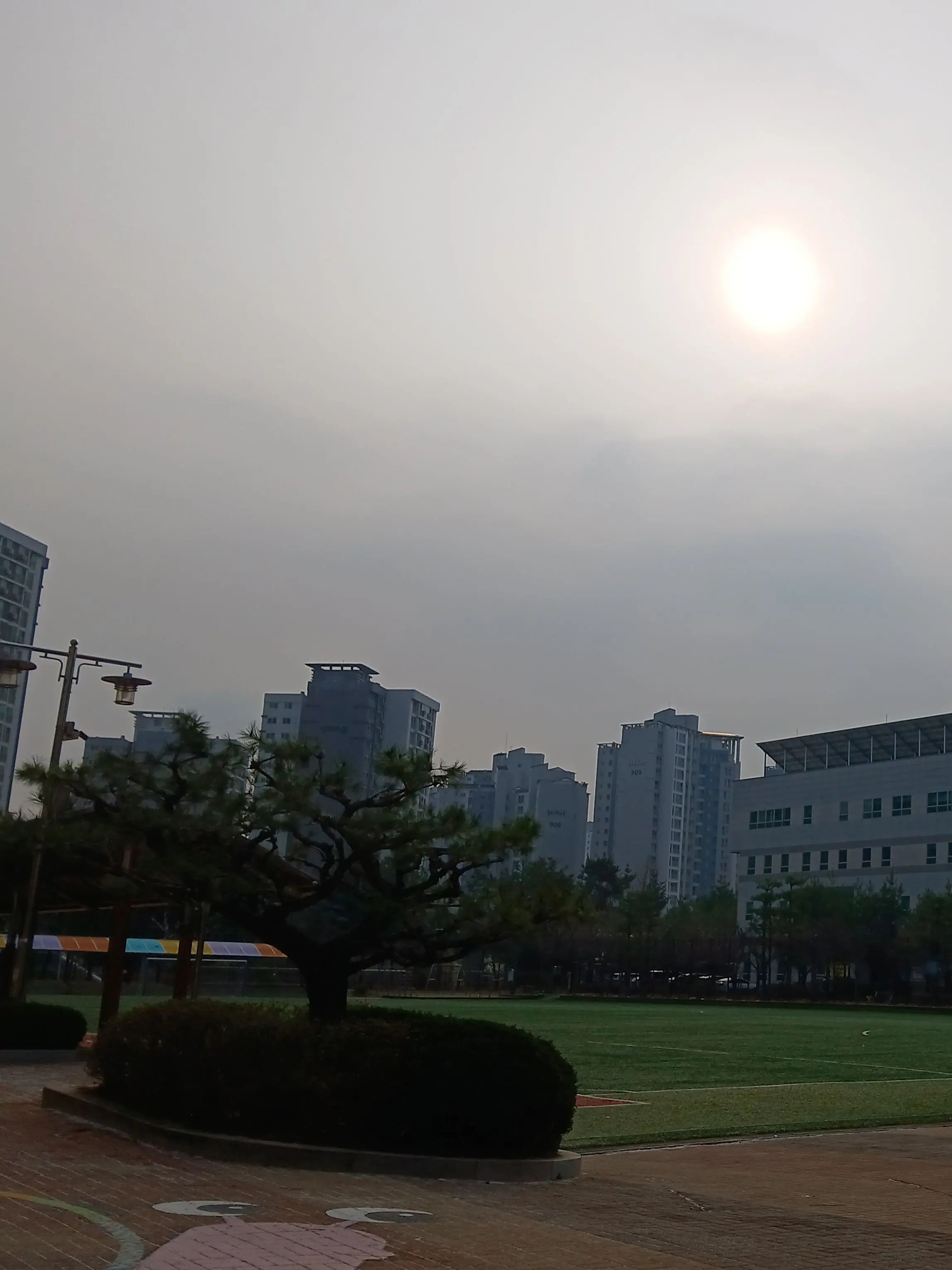 ShortXeme1604의 꿈악+대학교+남녀무리+수학여행+여우