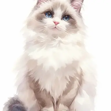 Profile image of 나비