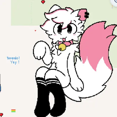 Profile image of シリーキャット