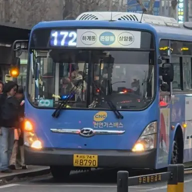 Profile image of 172번