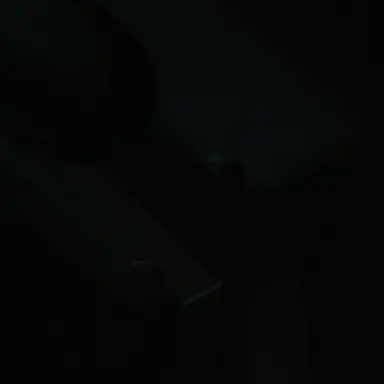 Profile image of 김원필