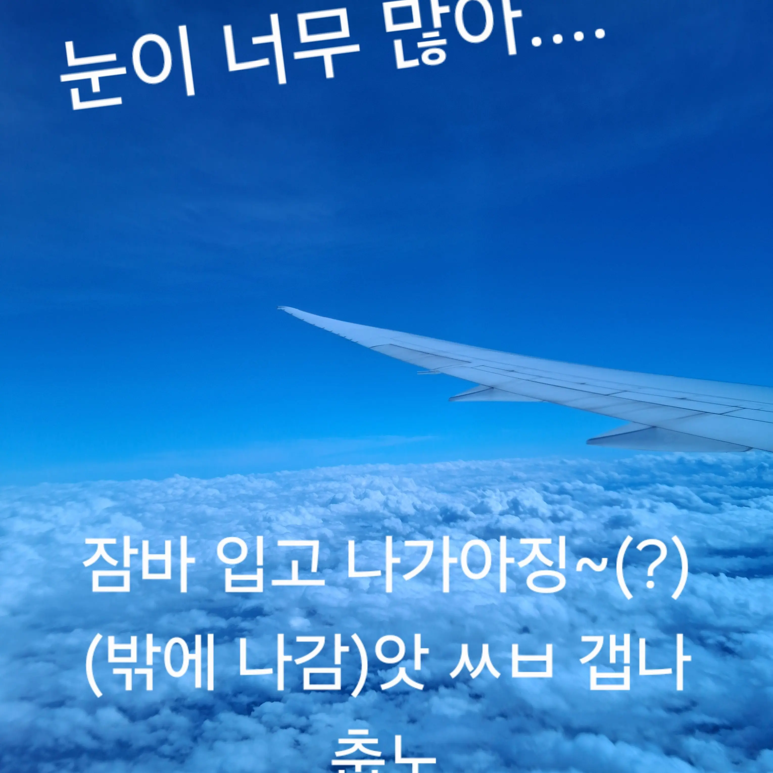 SweetAngel4401의 성별이 반대로 된 제빈....