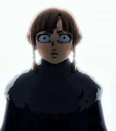 Profile image of メアリー・スー