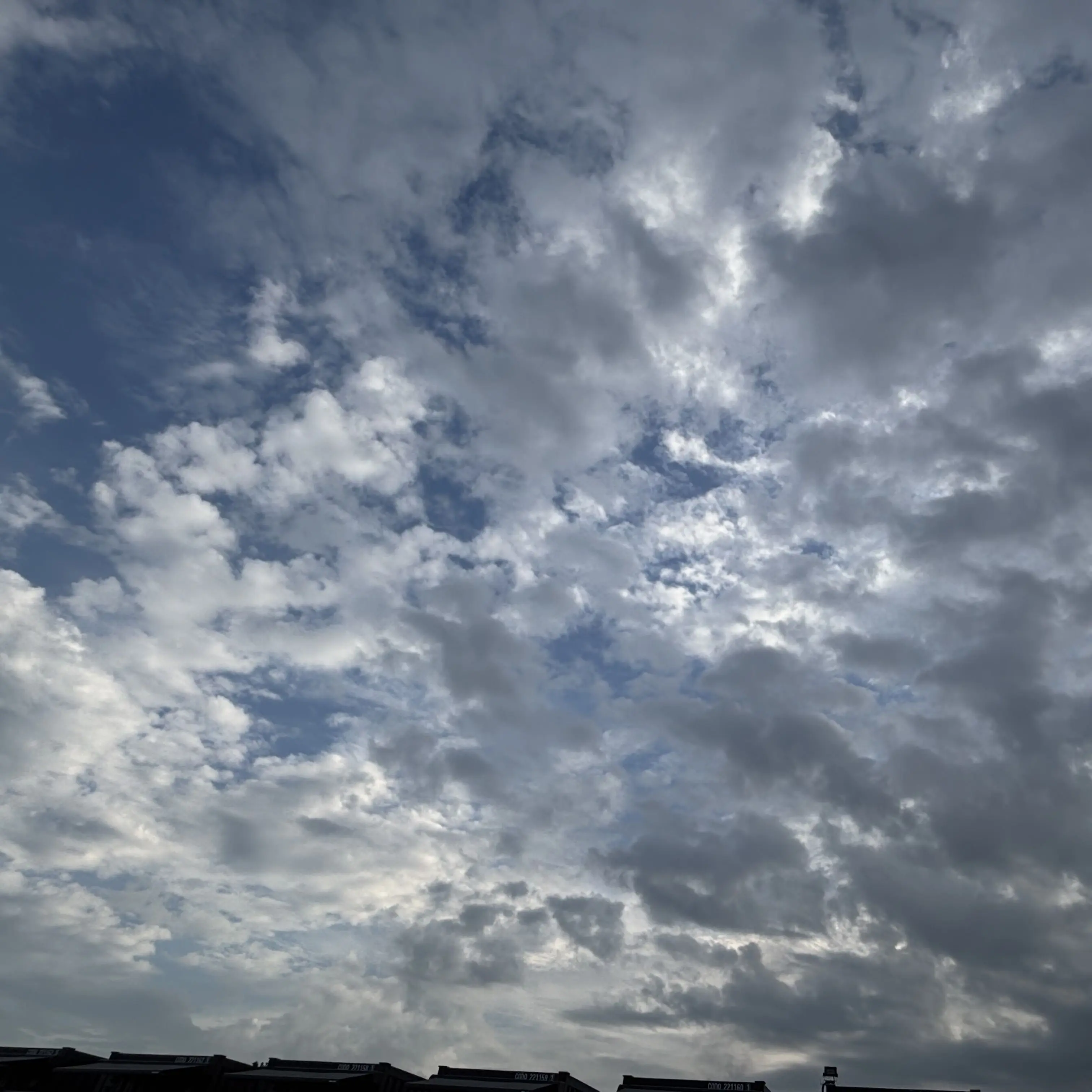 SafeBanjo4011의 殺しちゃった！（ヴィランバージョン）