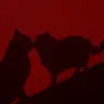 Profile image of チェ-ウジェ