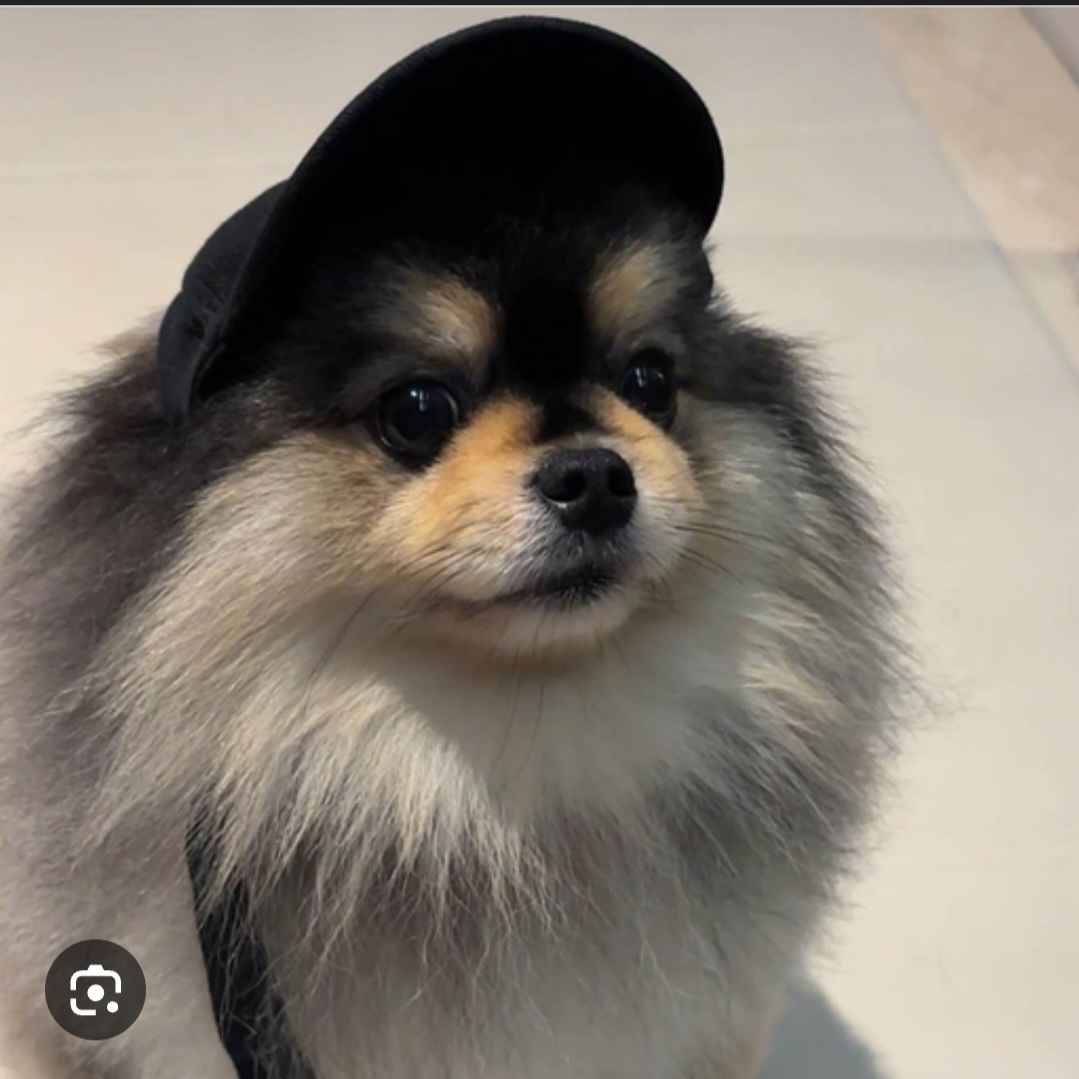 사춘기온 몰리 대표 이미지