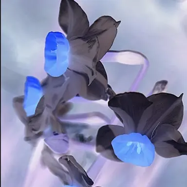 Profile image of アッシュ