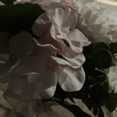 Profile image of 이민호