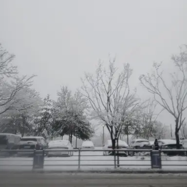 Profile image of 김유아