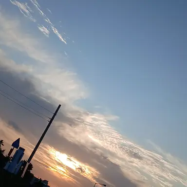 Profile image of 김유나