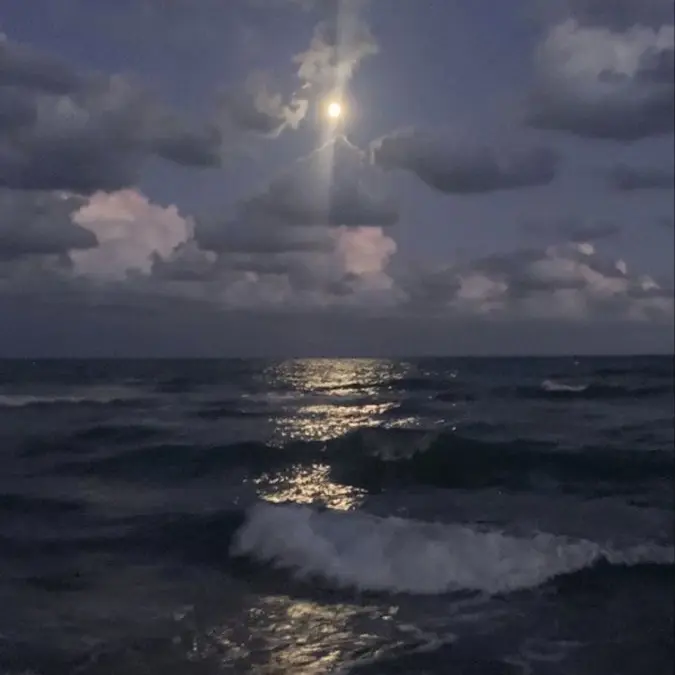 BareSquid1670의 アル中のふたり。