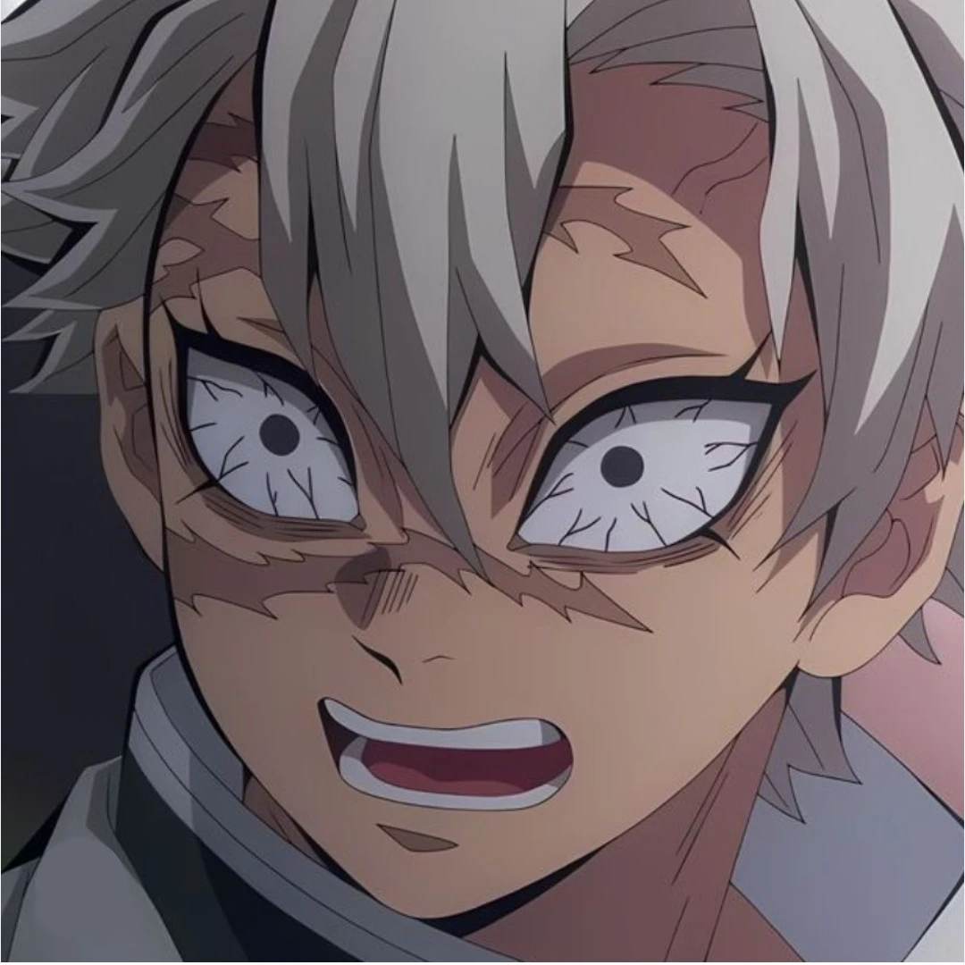 시나즈가와 사네미