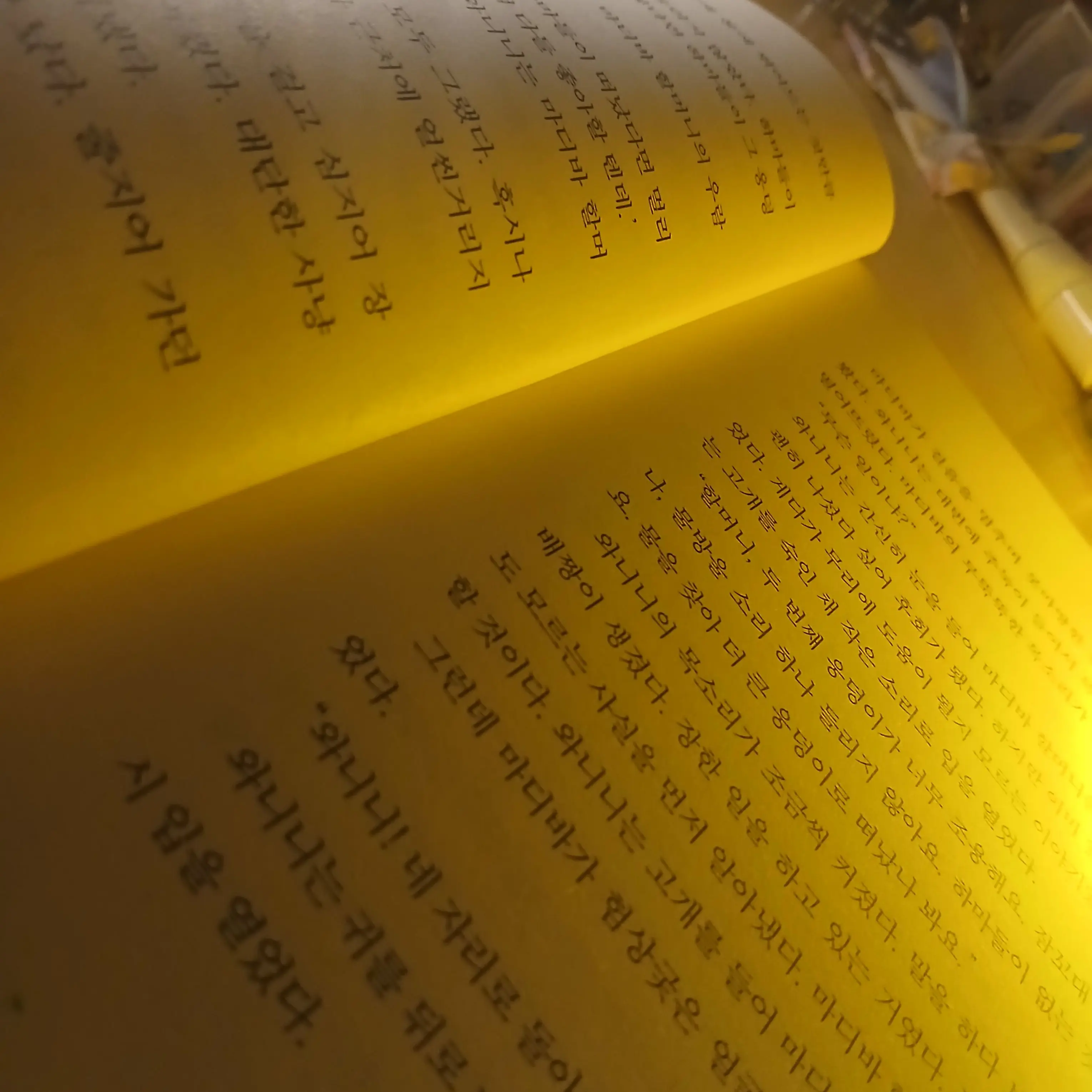 DirectBloom4334의 k