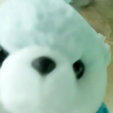 Profile image of 여우