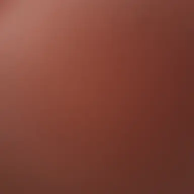 Profile image of ラウール