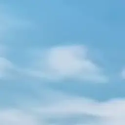 Profile image of 장여우