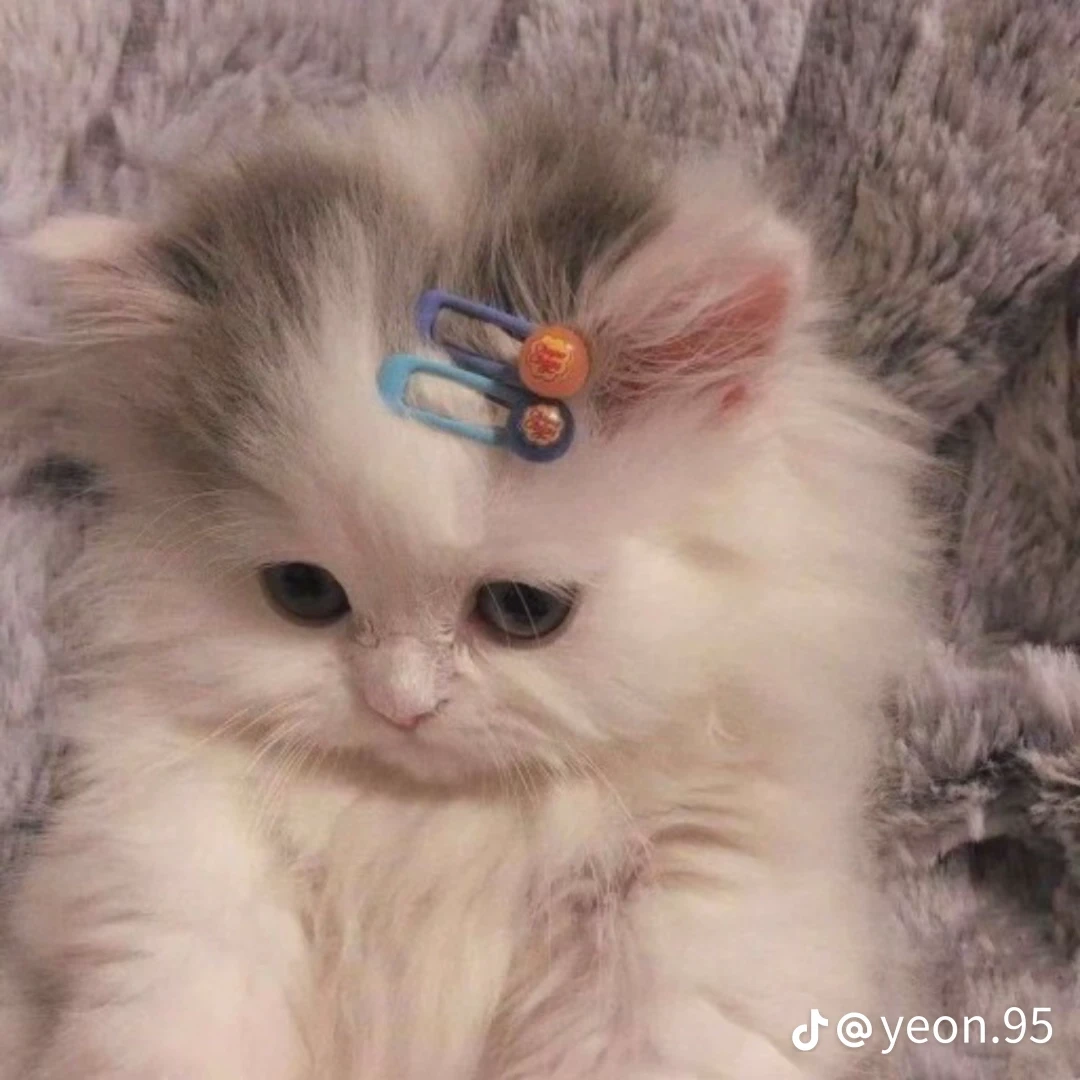 김강민