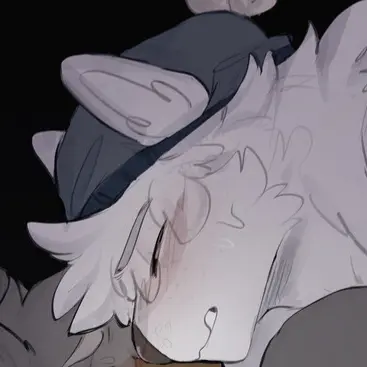 Profile image of Matthias