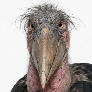 Profile image of 장병식