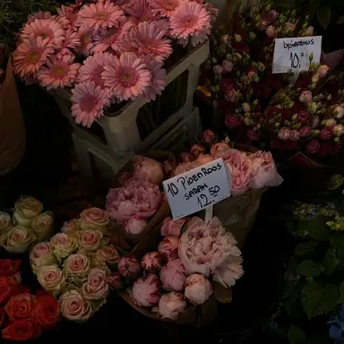 Profile image of 플래그