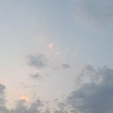 Profile image of 小野大輔