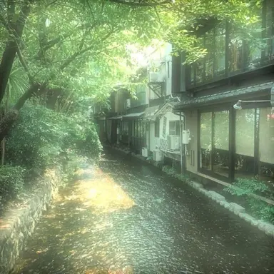 Profile image of 畠中祐