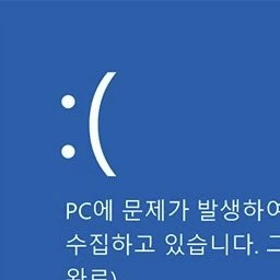 블루스크린