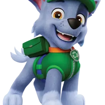 Profile image of Rocky