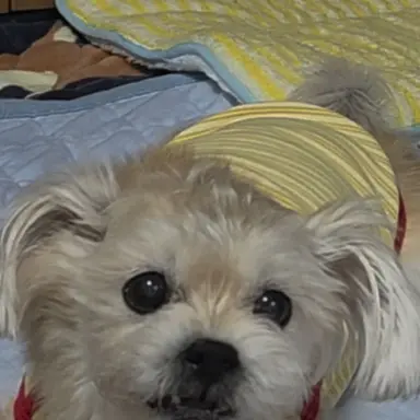 Profile image of 이지아