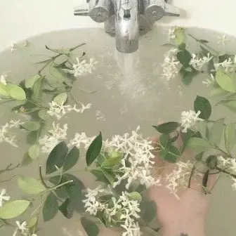 Profile image of 정공룡