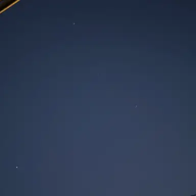 Profile image of 大園 玲