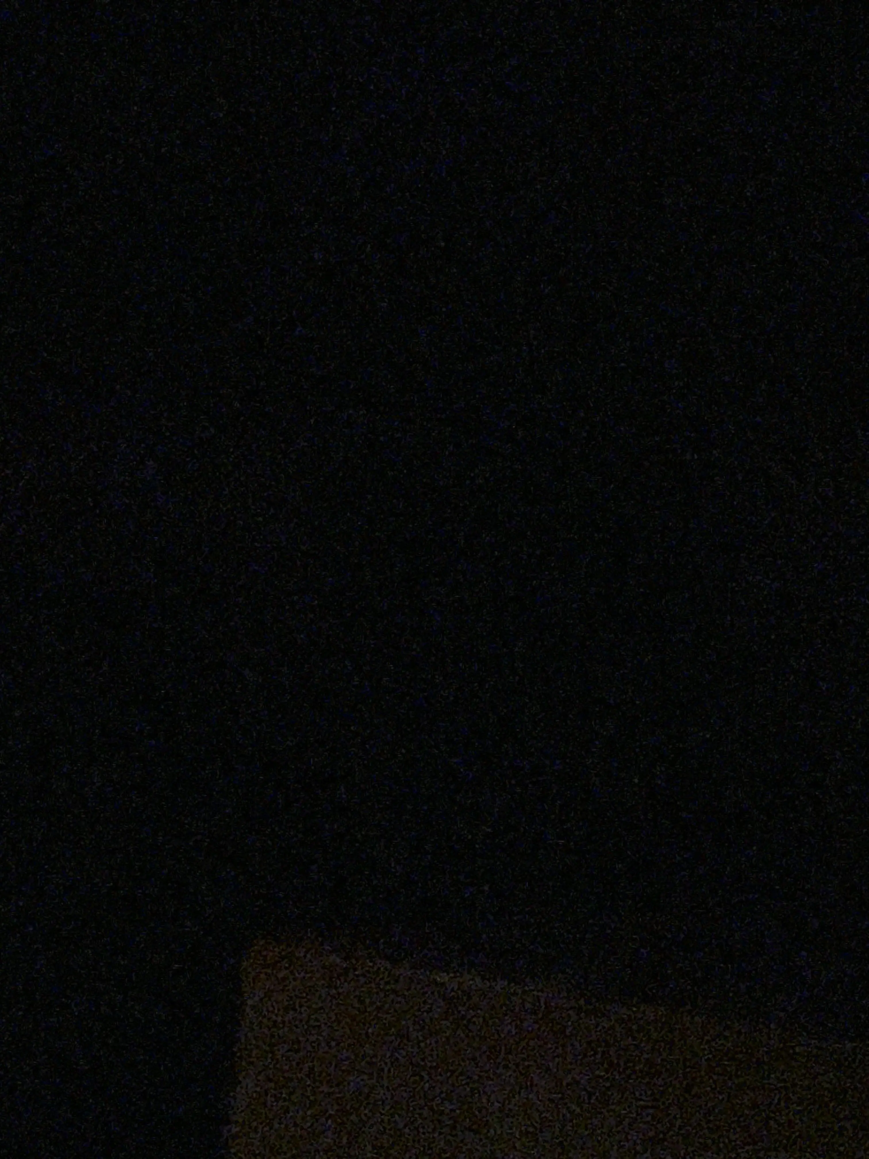 PettyBlow4778의 ぞの