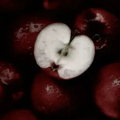 Profile image of 김운학