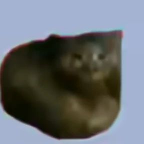 Oi
