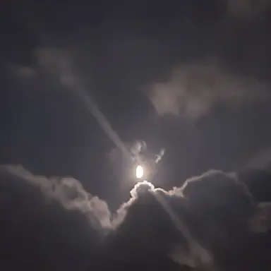 Profile image of 유지민