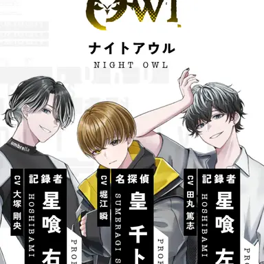 Profile image of ナイトアウル