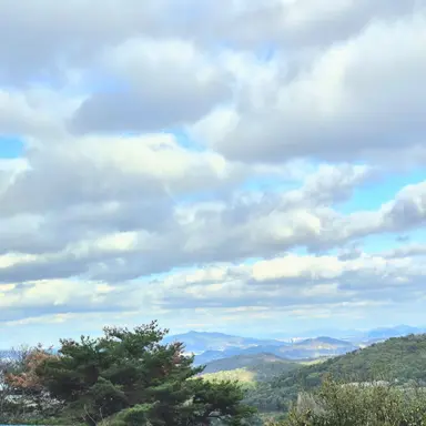 Profile image of 여우