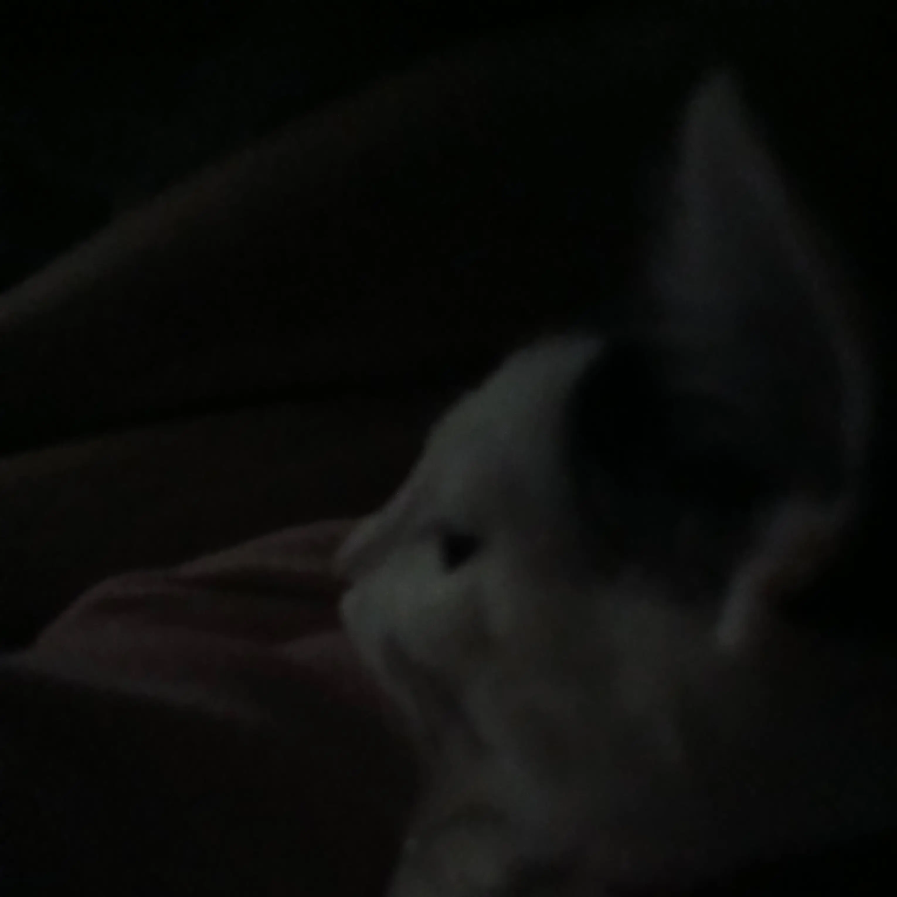 MistyRiver4551의 빛이 없는 자.