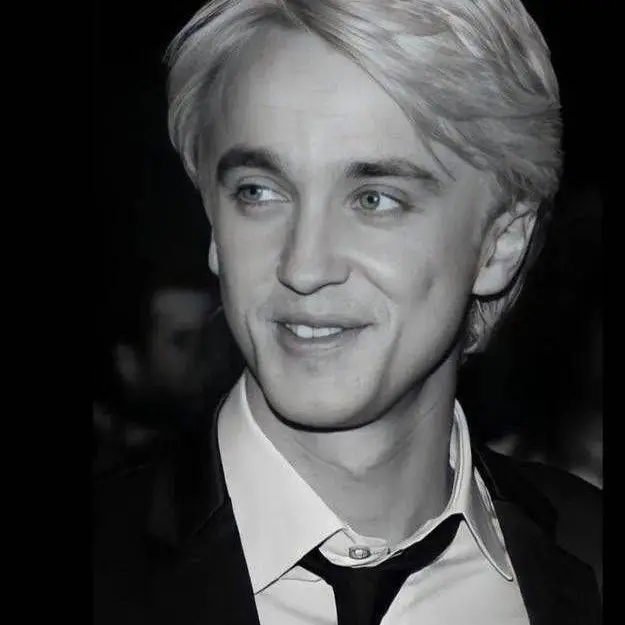 SkinnyVise2974의 The Slytherin Prince