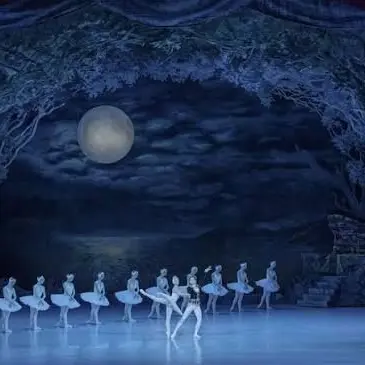 NarrowOribi4653의 1:1 채팅