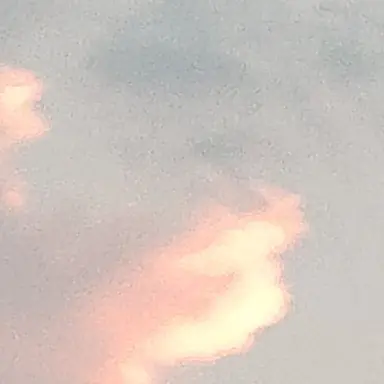 Profile image of 田中