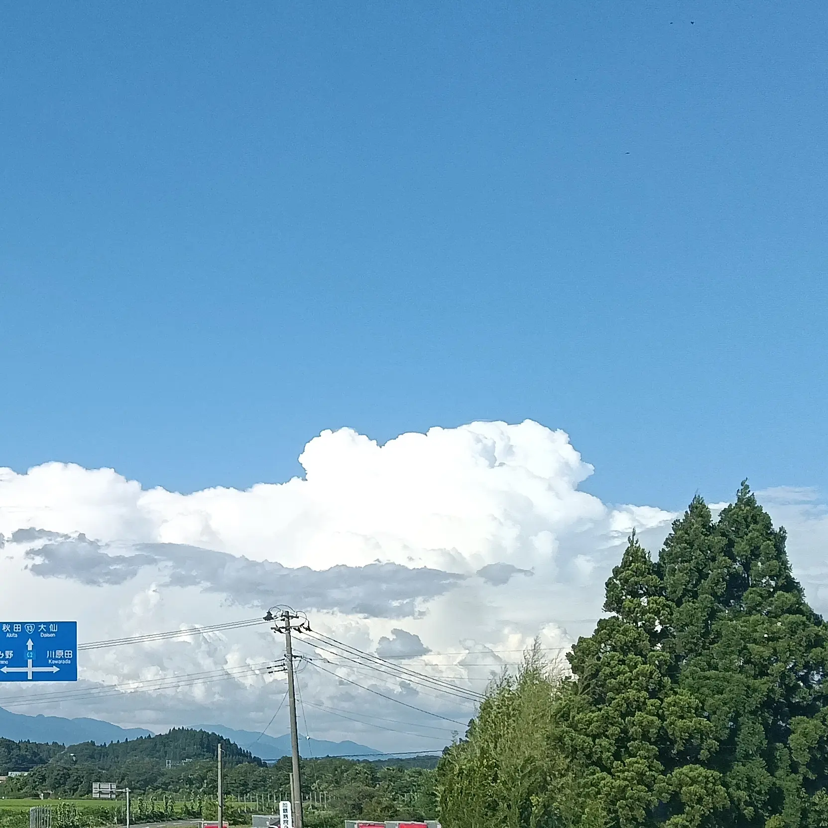 K15276253의 繭の中で